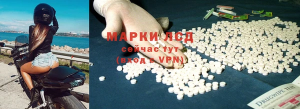 ГАЛЛЮЦИНОГЕННЫЕ ГРИБЫ Арсеньев