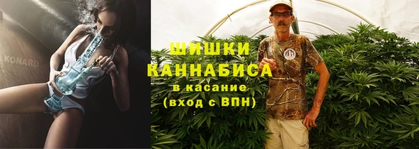 ГАЛЛЮЦИНОГЕННЫЕ ГРИБЫ Арсеньев