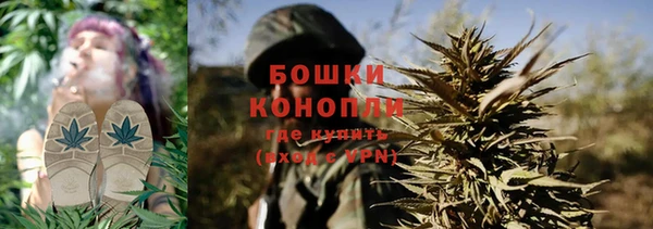 ГАЛЛЮЦИНОГЕННЫЕ ГРИБЫ Арсеньев