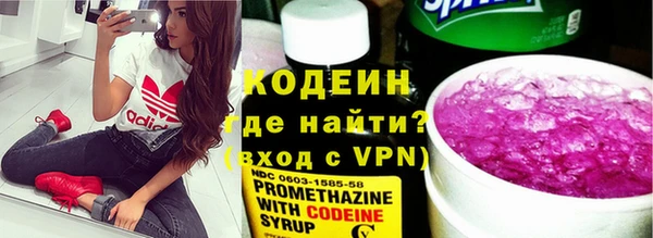 ГАЛЛЮЦИНОГЕННЫЕ ГРИБЫ Арсеньев