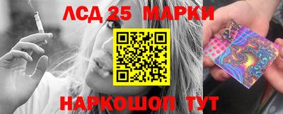 спиды Кингисепп