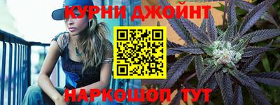 спиды Кингисепп