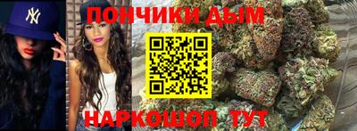 спиды Кингисепп