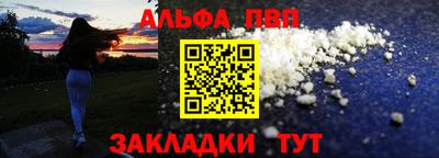 спиды Кингисепп