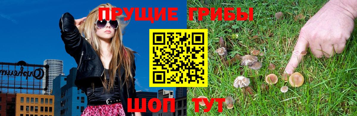 Псилоцибиновые грибы Cubensis Корсаков