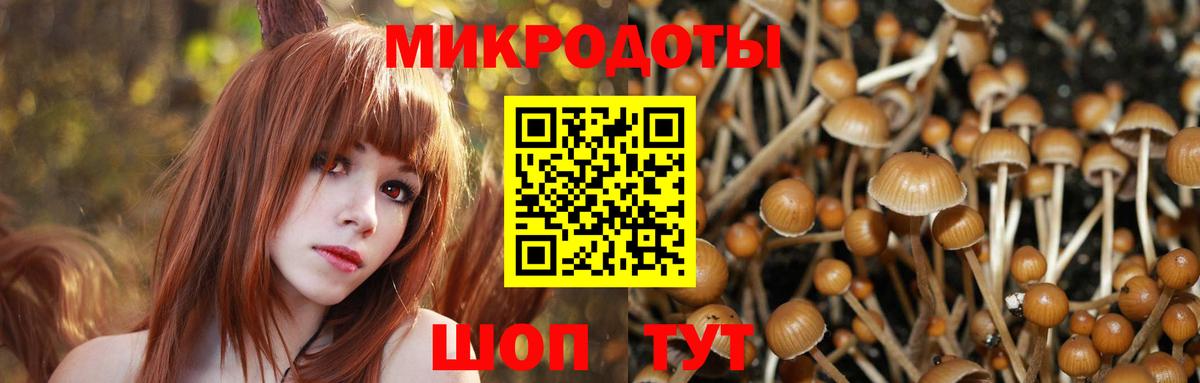 Псилоцибиновые грибы мухоморы  Псилоцибиновые грибы мухоморы  Вход с VPN  Корсаков 